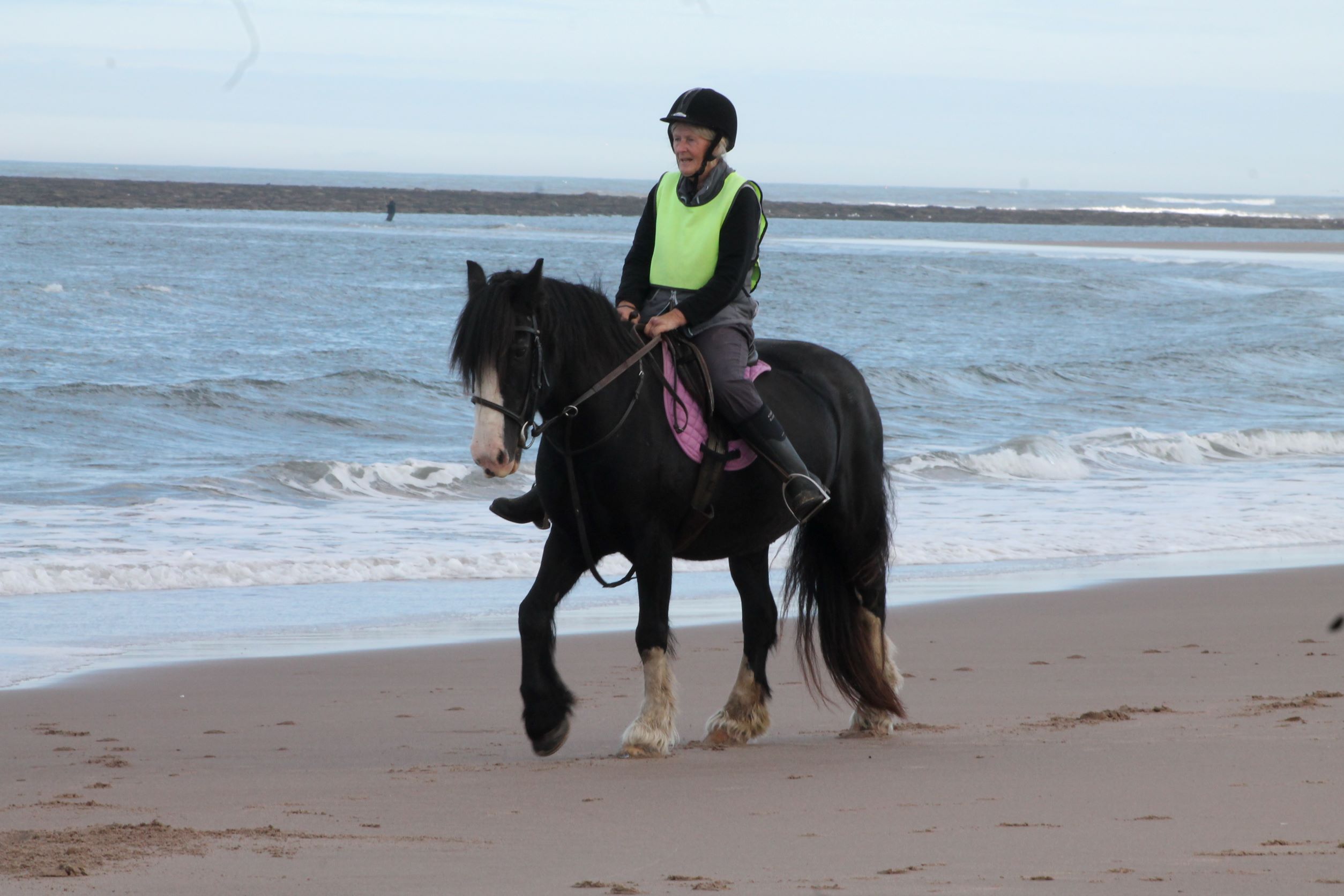 Horseriding in the waves