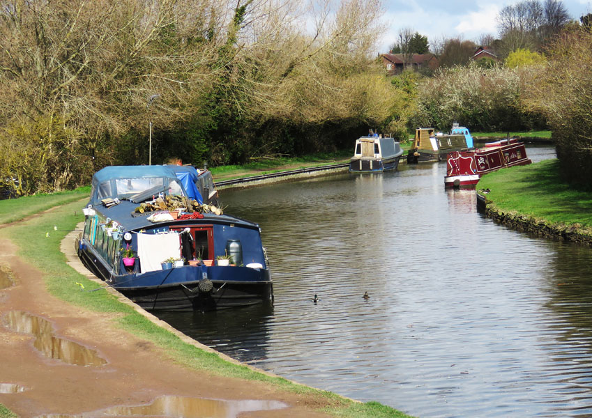 March - On the canal at Startops