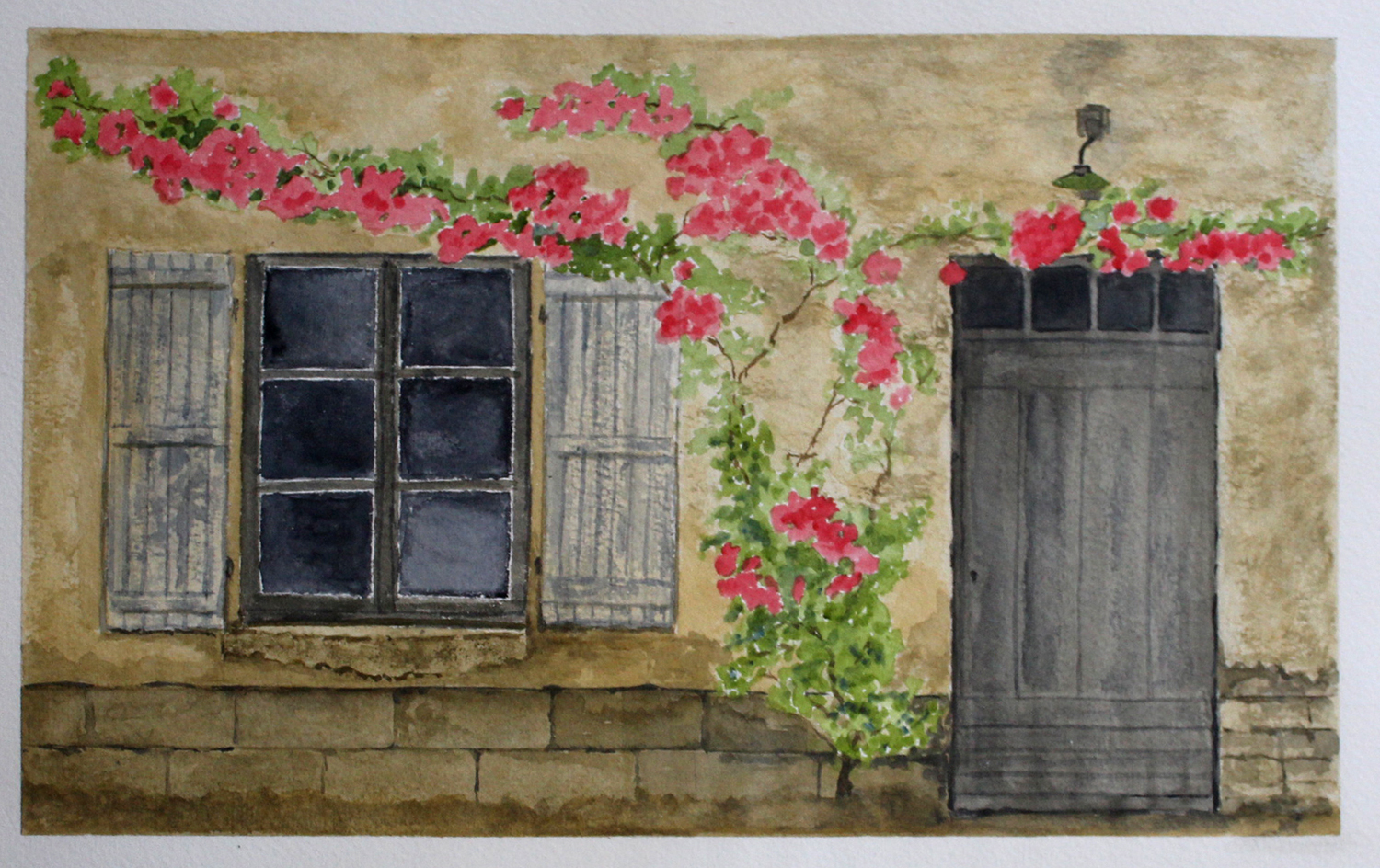 Wall, door, roses