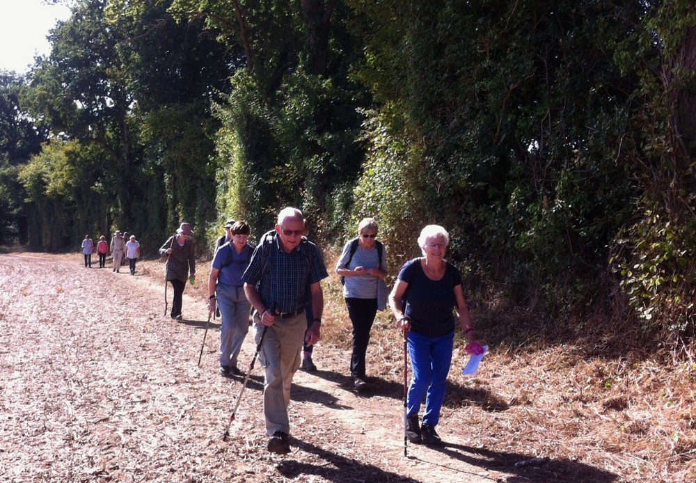 Walkers Wend Their Weary Way Home