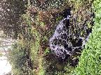 Waterfall in Guincho woodland garden