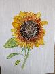 Sunflower by Marion Coleman