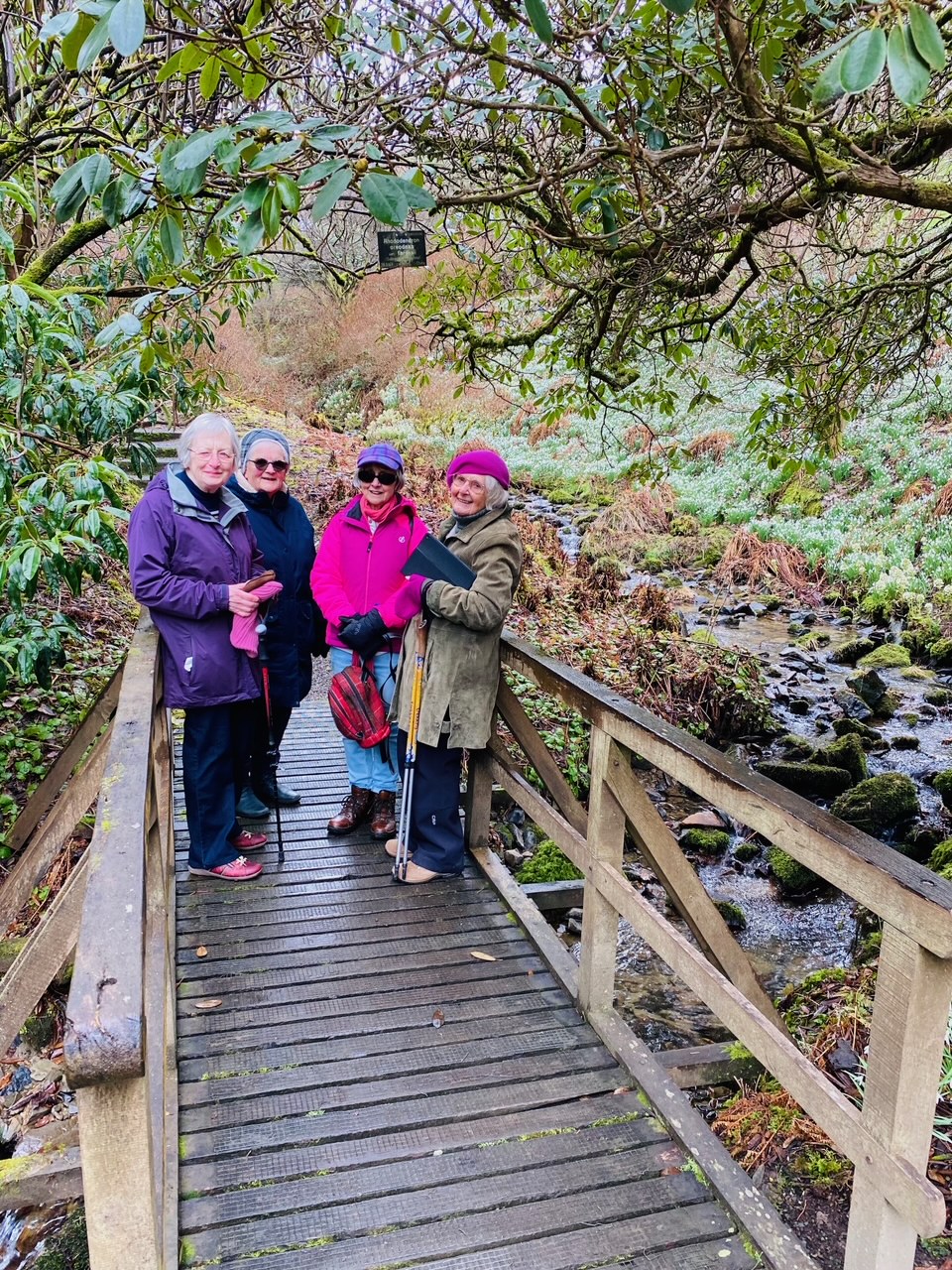 Easy Walking and Socialising Group