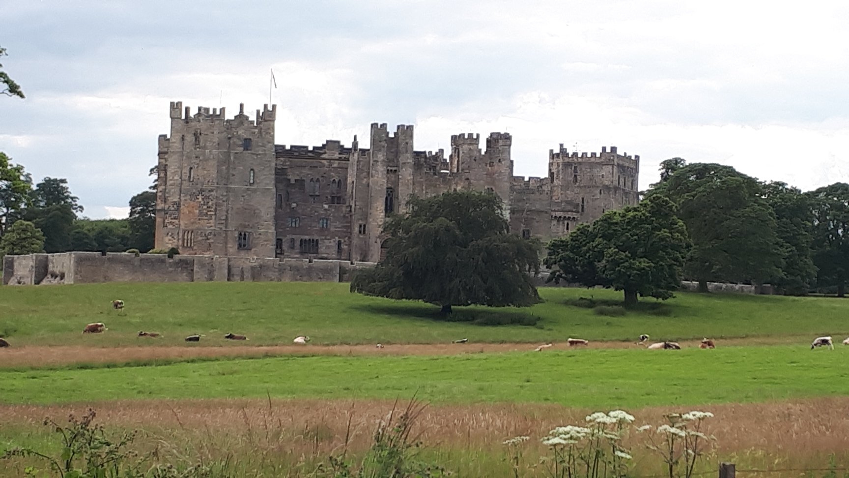 Raby Castle and Deer Park