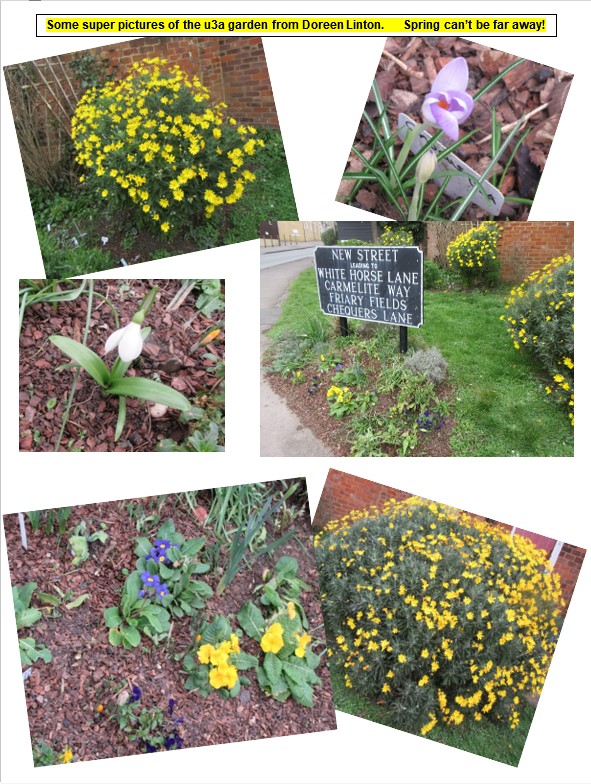 A collage of the Community Garden