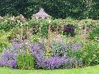 June visit to Cerney Gardens