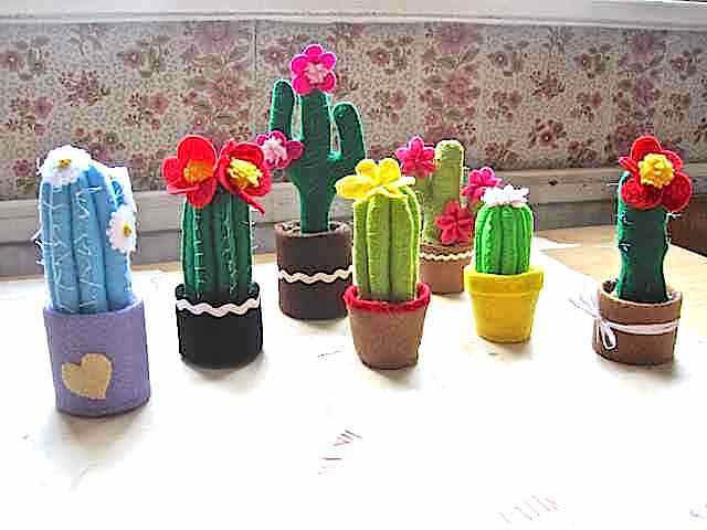Felt cactus plants