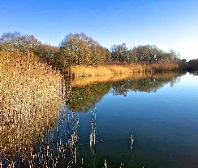 Black Lake, Lindow Common