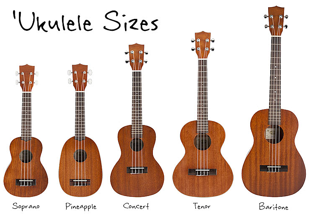 Ukuleles come in all sizes