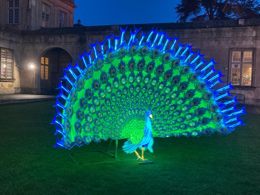 Lights and live animals at Longleat