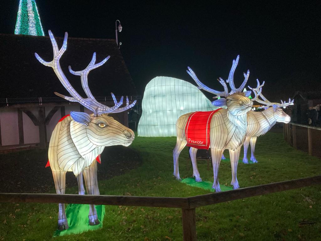 Reindeer lights at Longleat