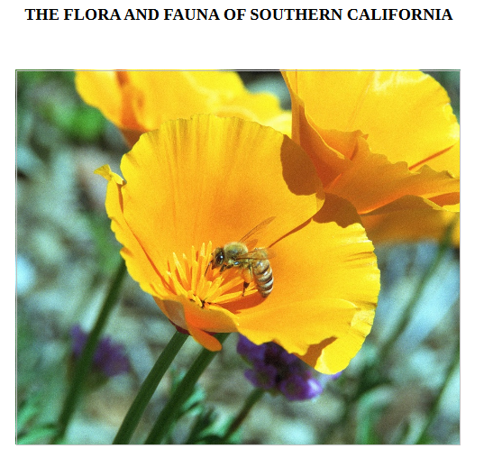 Flora Fauna California