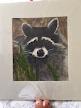Raccoon by Pearl