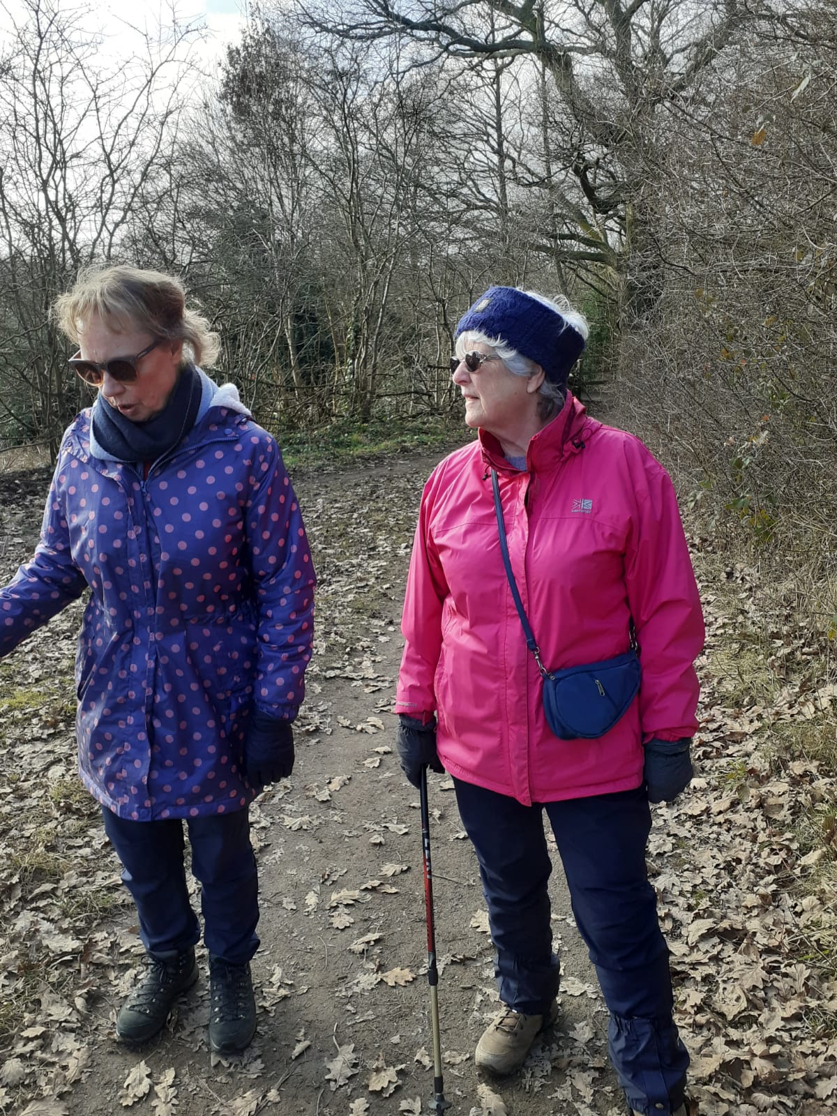 Lovely colourful ladies walking
