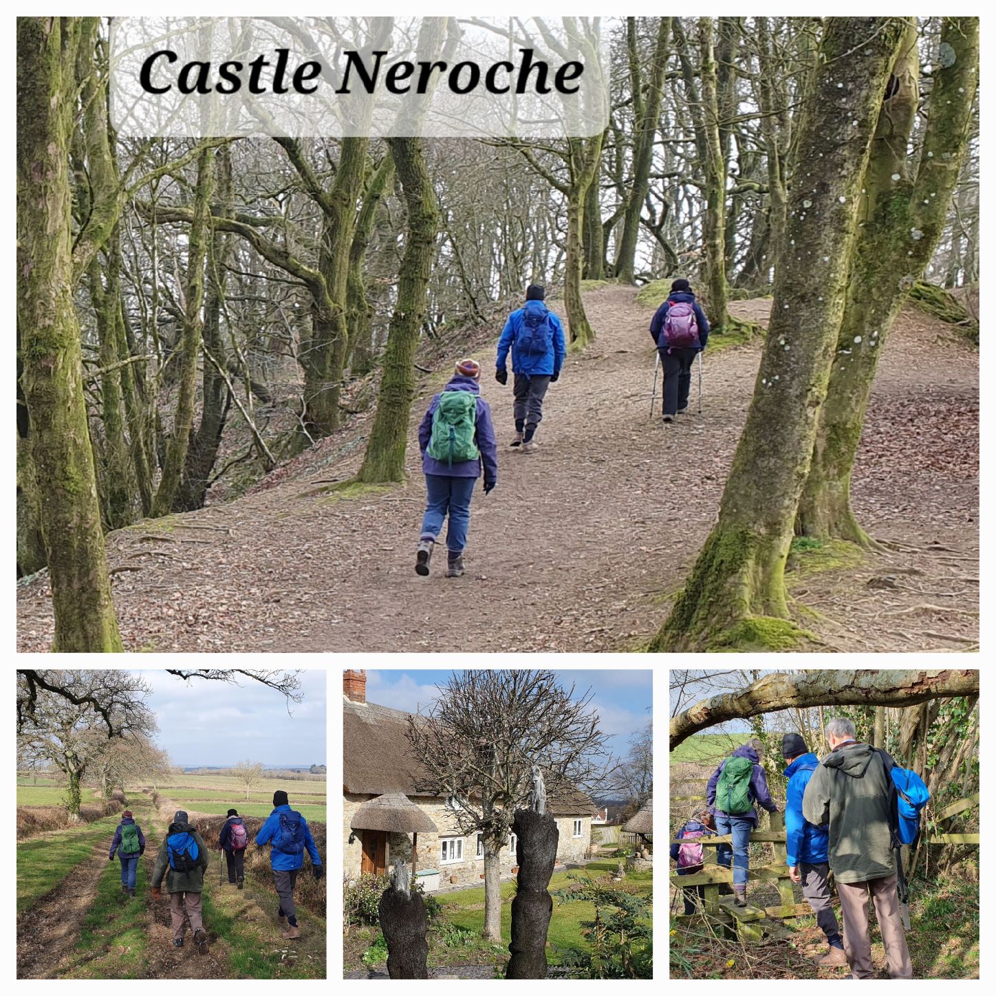 March visit to Neroche Forest