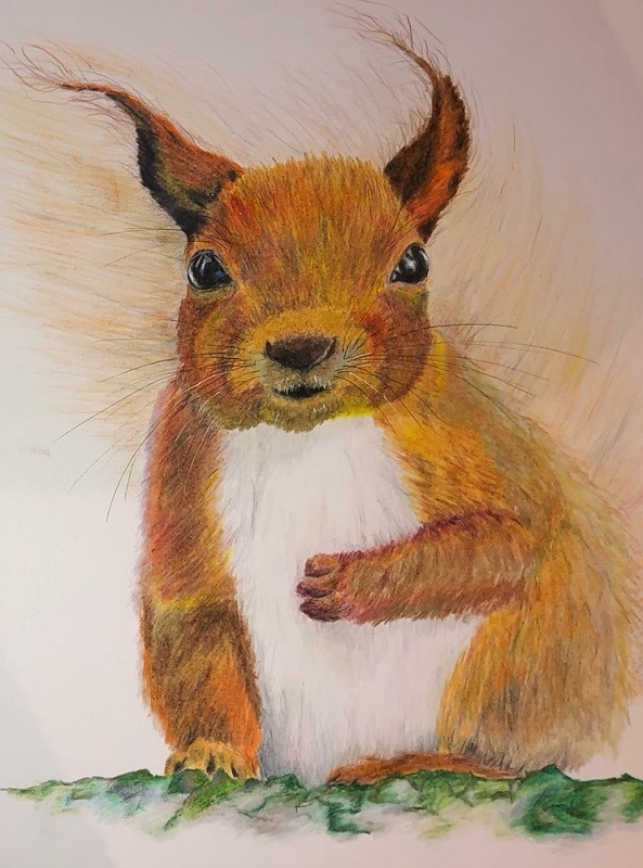 Squirrel by Lynne Croft