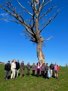 March 2022 Blue sky, dramatic tree & us