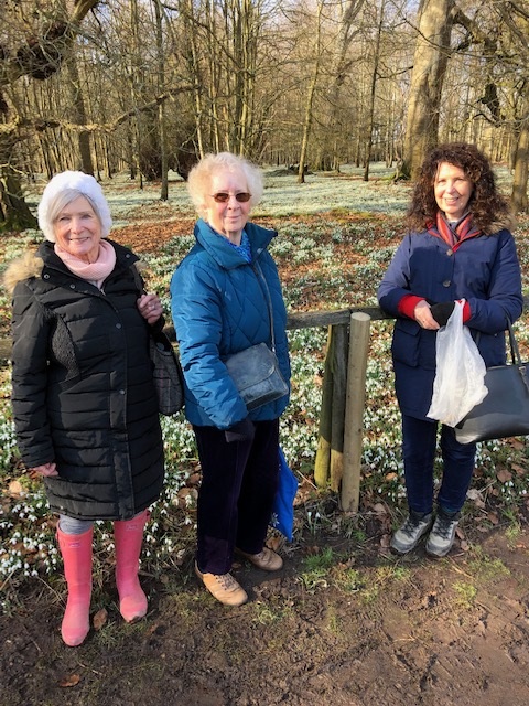 Garden Group visit to Welford Park 2023