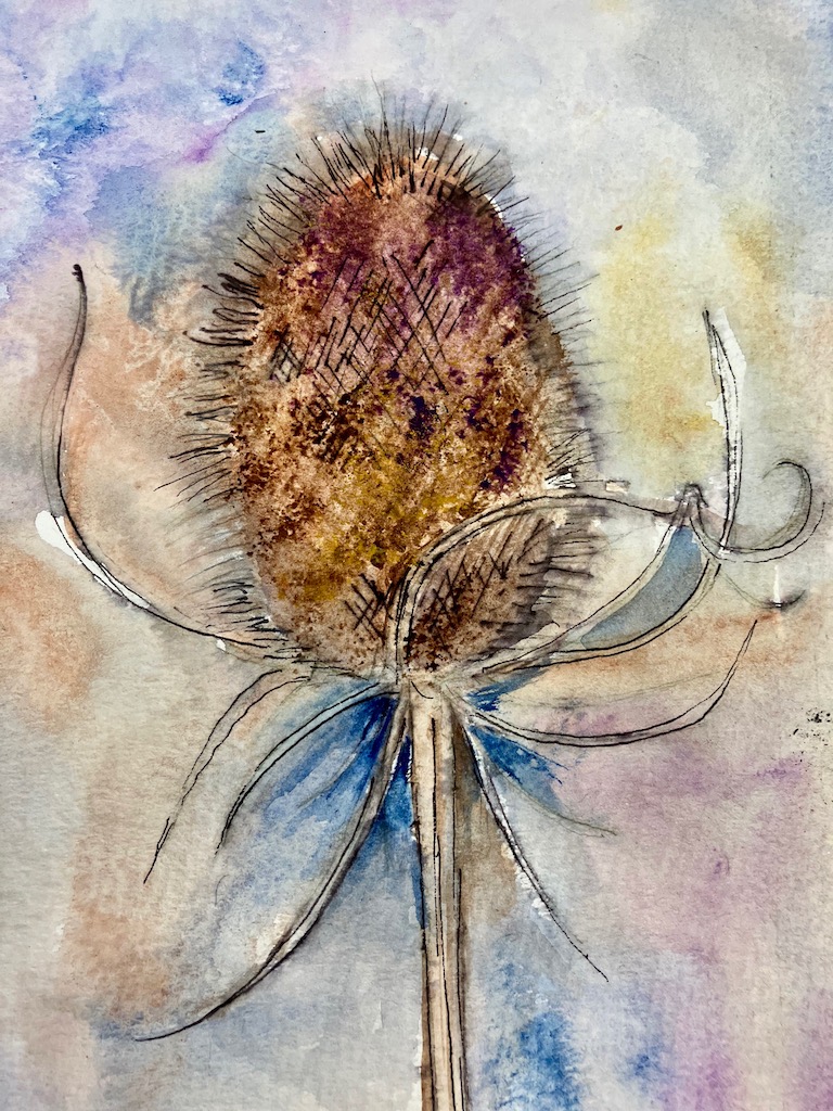 Teasel by Rebecca Dickinson
