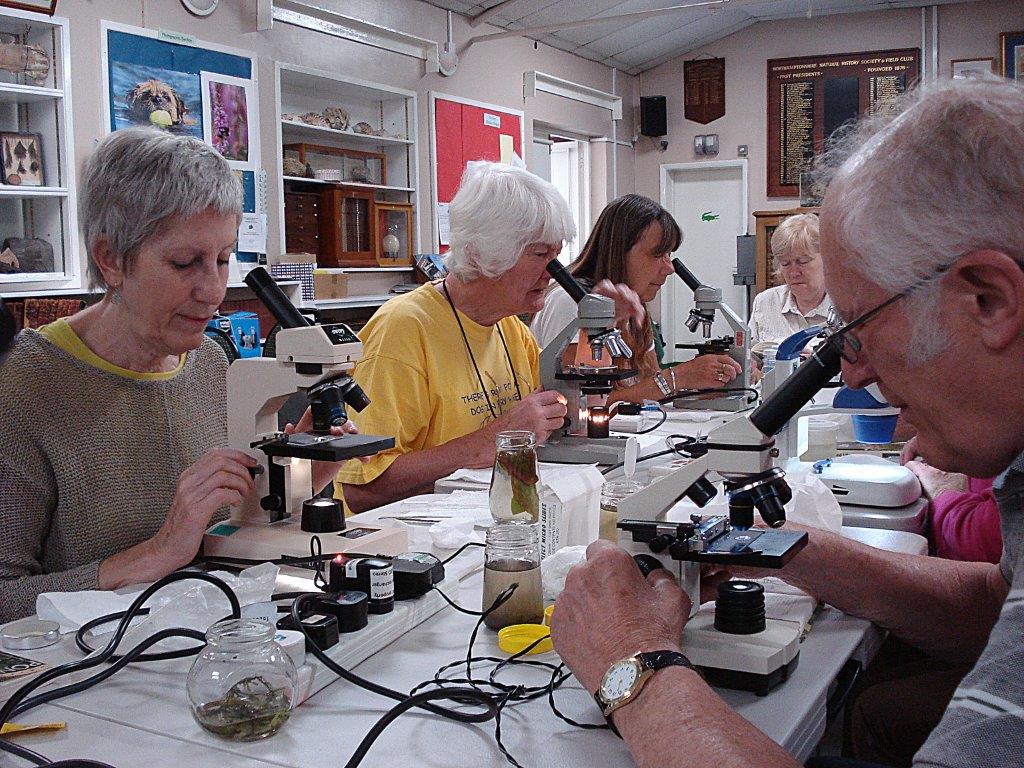 Microscope Users