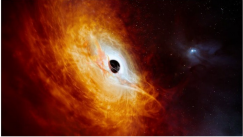 The Blackest Black Hole