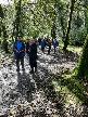 The Group at Plymbridge Woods