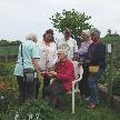 Gardening group met in Lesley’s garden