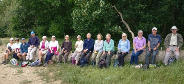A Very Healthy Walking Group