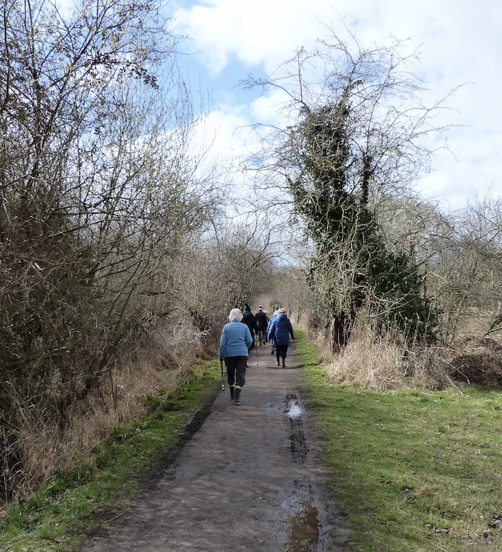 Fowlmere Reserve stroll