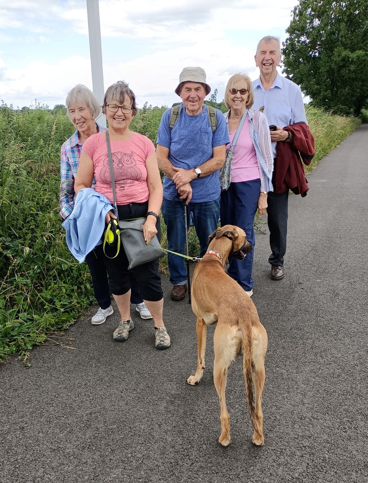 June walk with canine friend