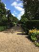 Kensington Gardens, c.H.Salmon