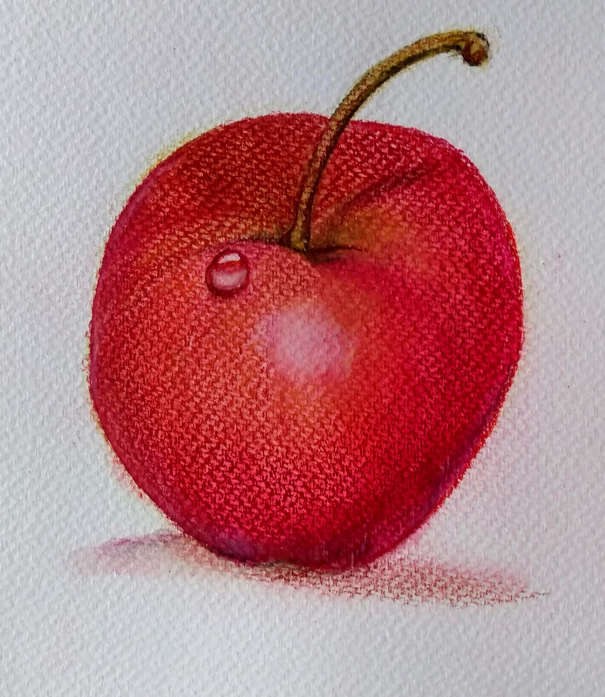 Apple (coloured pencils)