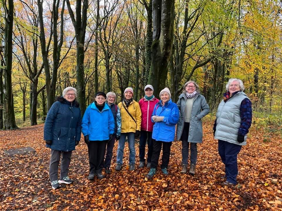 Walking Group in Portglenone Forest