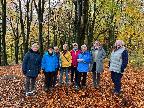 Portglenone Forest walk November 22