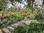 Rain garden at Slimbridge