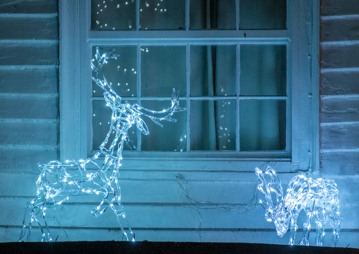 Reindeer lights