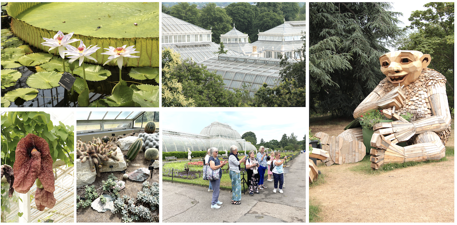 The Garden Groups went to Kew June 2022