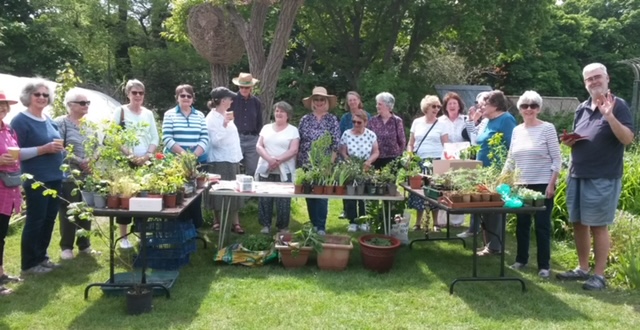 Garden Groups at the annual plant share