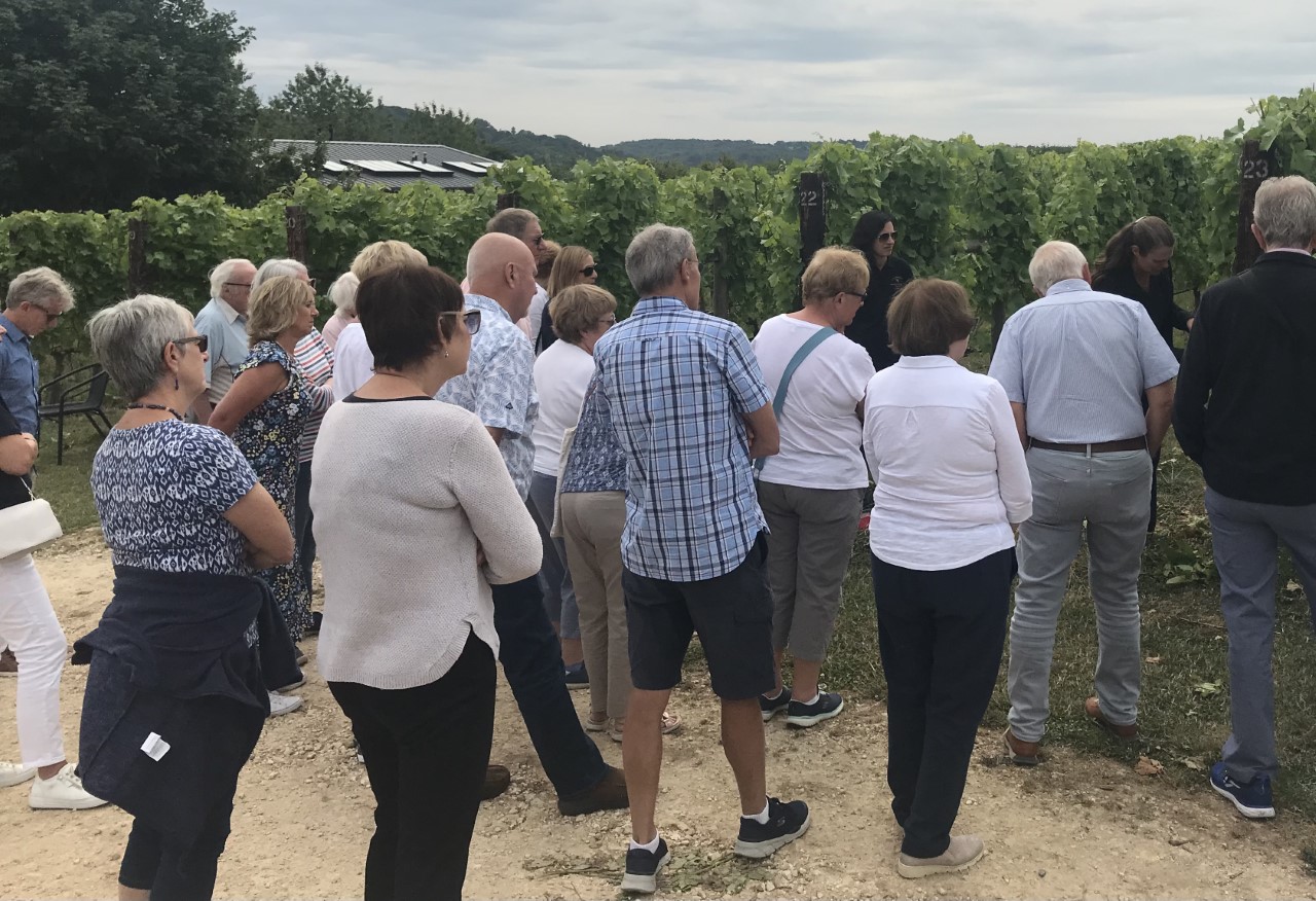 Visit to Woodchester Valley Vineyard