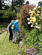 Dewstow Gardens - admiring the blooms