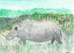 Rhino (Angela Hobday)