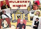 Mulberry Manor
