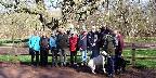 Medium Walking Group in Sherwood Forest