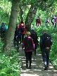 Walk in Beamish Wood