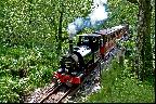 Welsh Steam Englne