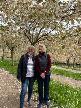 Alnwick Gardens - Beautiful Blossom