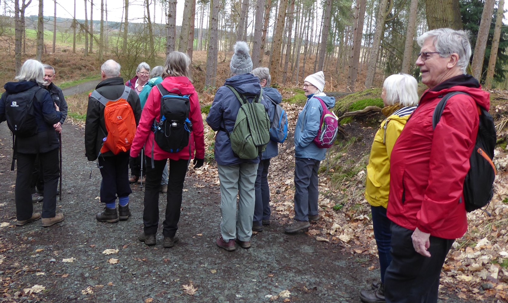 14/3 Stroll in Delamere Forest