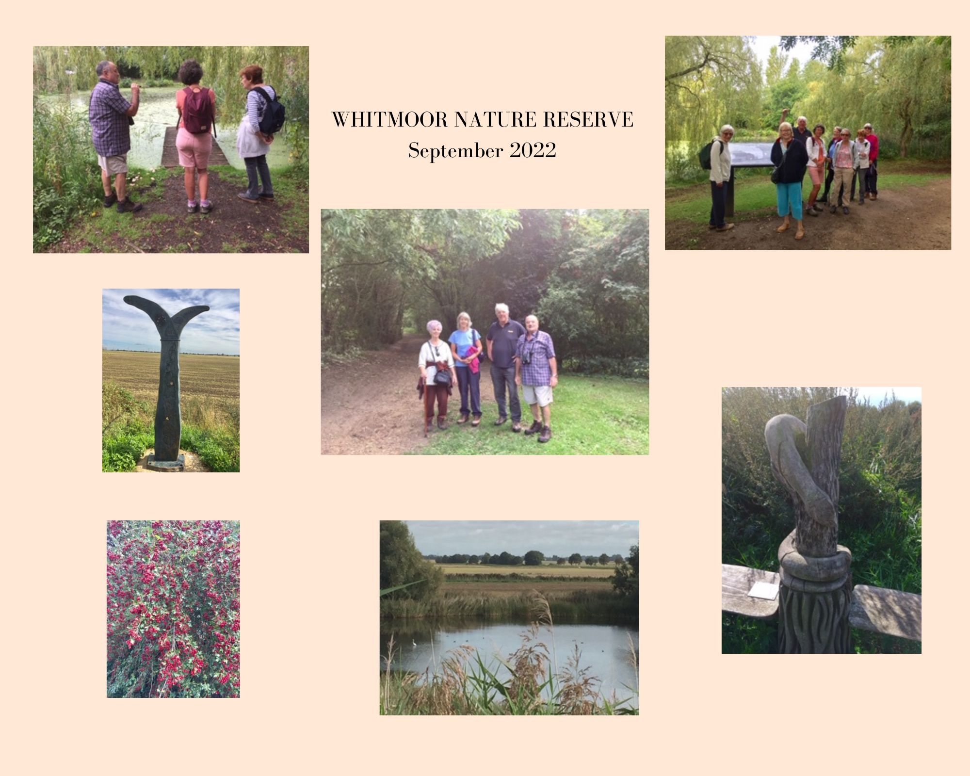 Whitmoor Nature Reserve