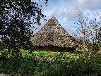 Bouton walk - Iron Age Roundhouse